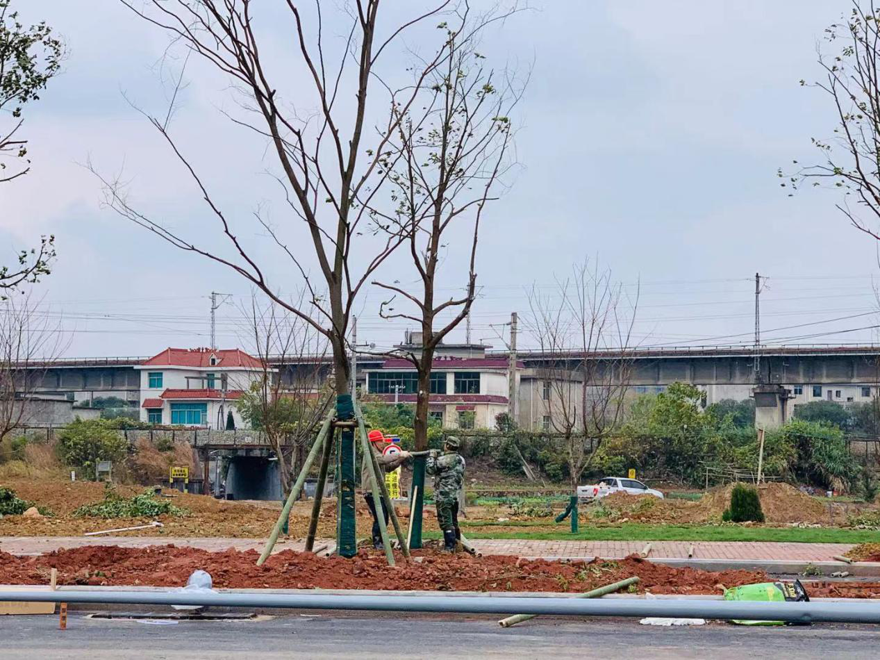 图片10.png 图片10.png