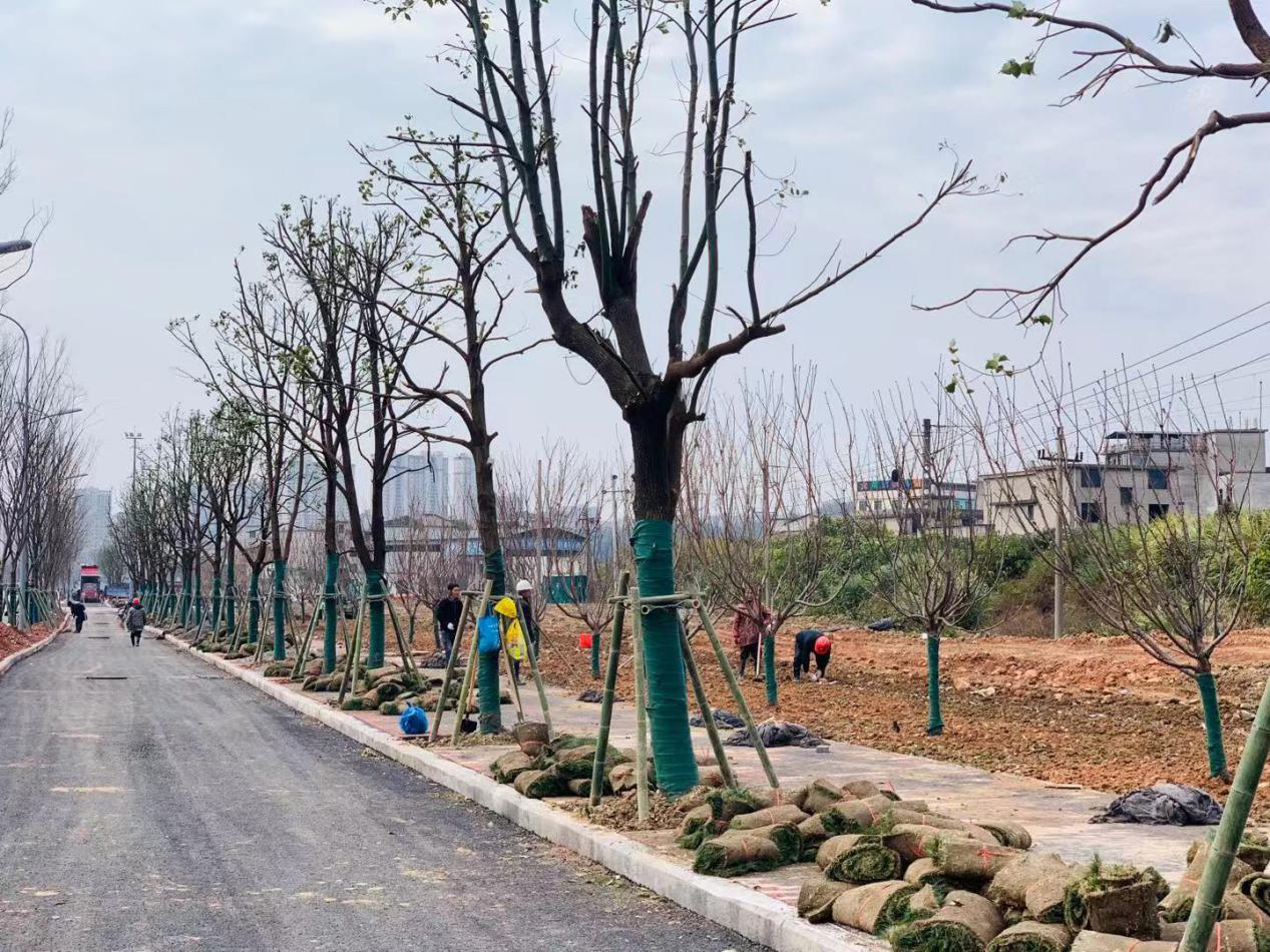 图片11.png 图片11.png