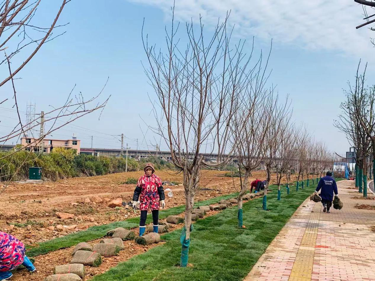 图片12.png 图片12.png